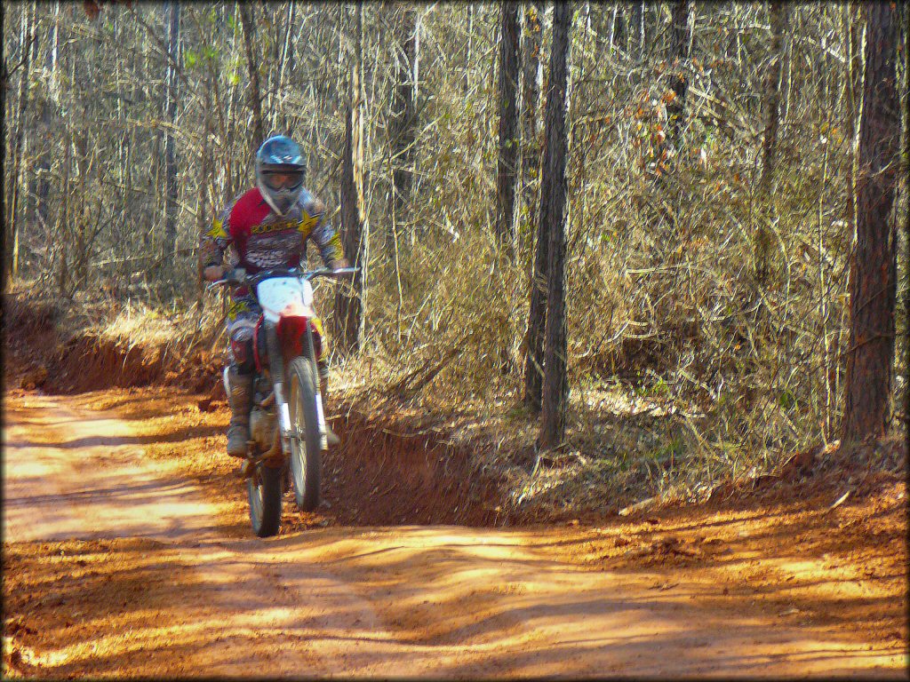 Man on Honda dirt bike catching a little air on the trail.