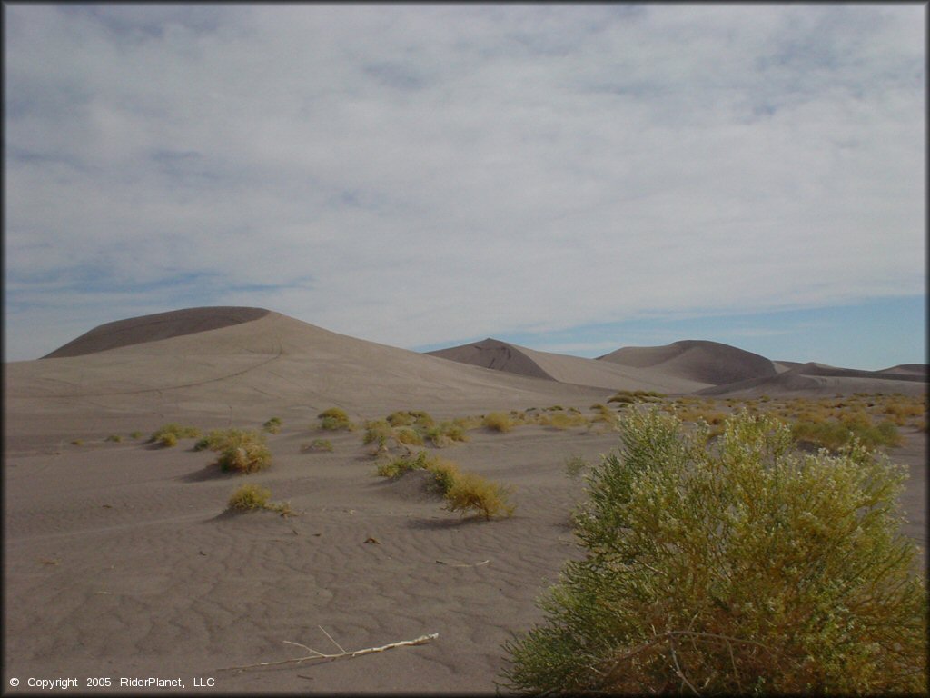 OHV at Amargosa Dunes Dune Area