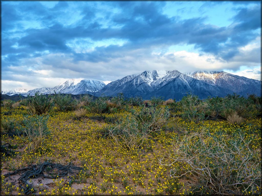 Poleta OHV Area Trail