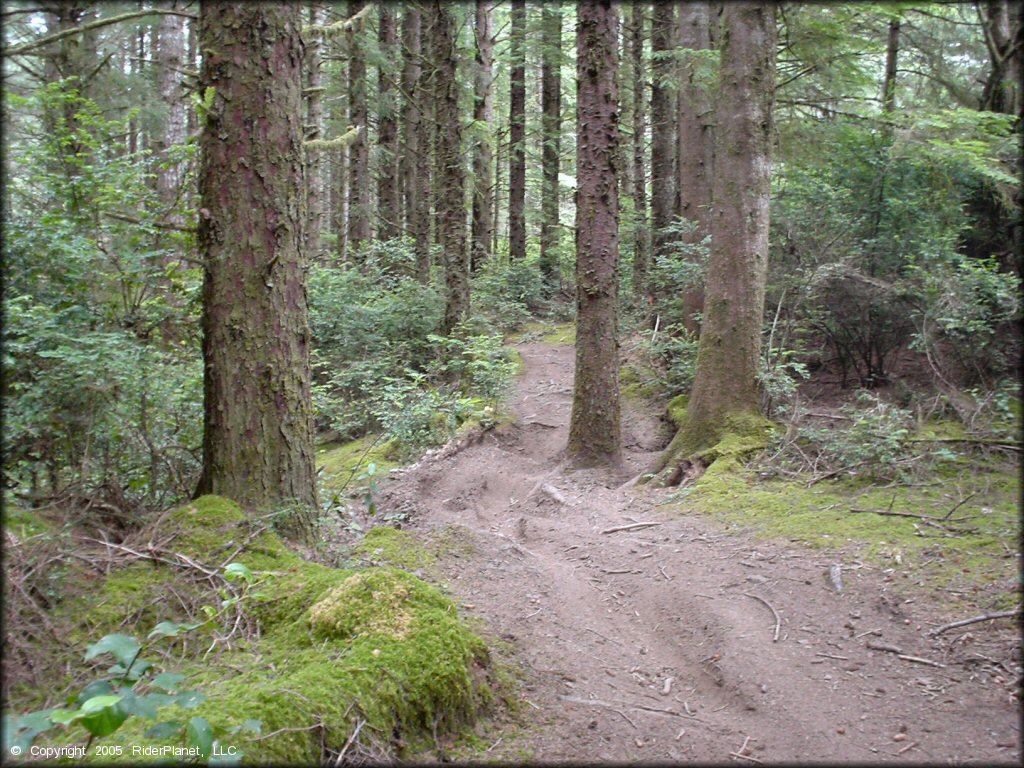 Example of terrain at Winchester Trails