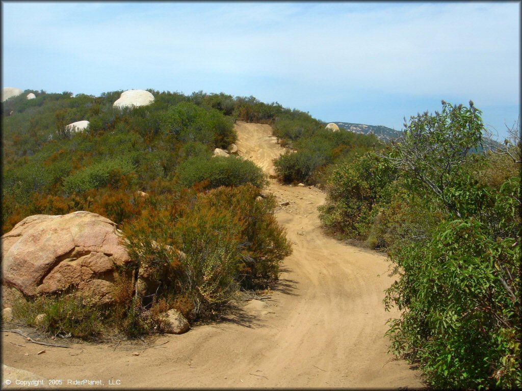 A scenic section of ATV trail surrounded by some trees, bushes, scrub brush and large rocks.