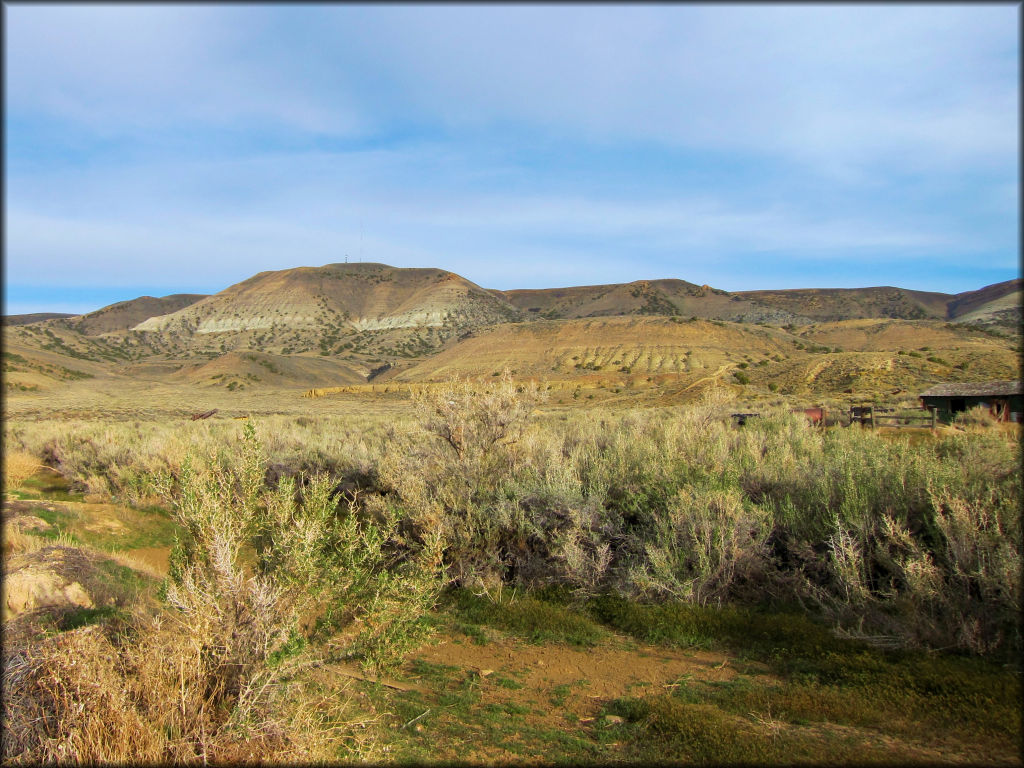 White Mountain Trail