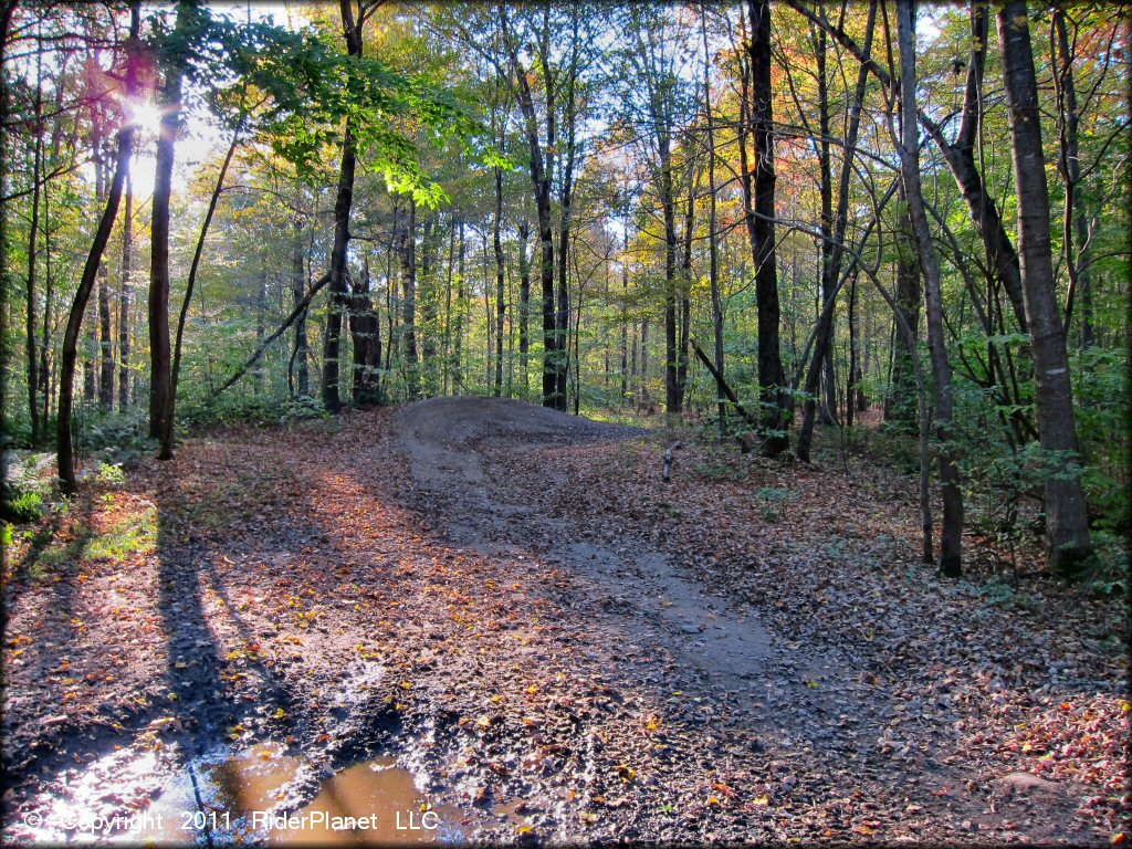 Example of terrain at Pittsfield State Forest Trail