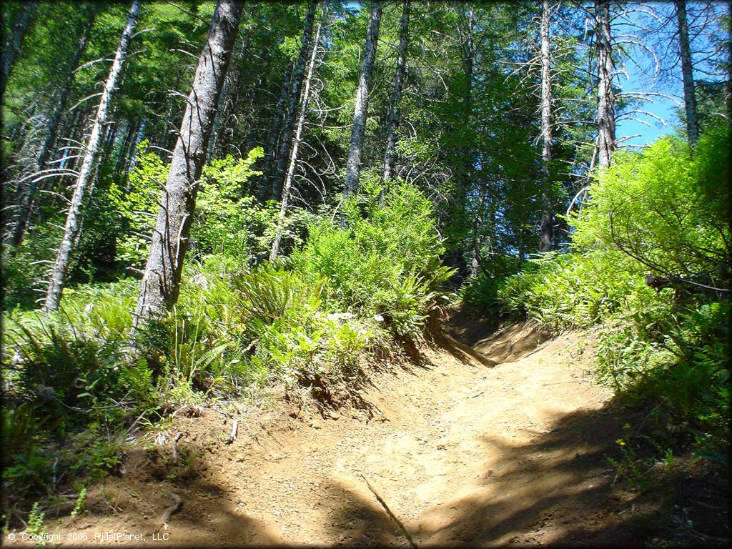 Some terrain at Diamond Mill OHV Area Trail