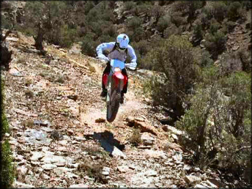 Peach Valley OHV Area Trail