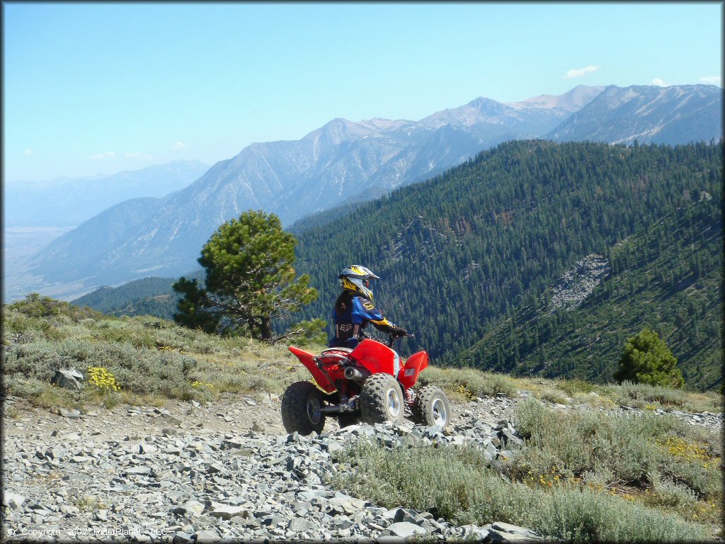 South Camp Peak Loop Trail