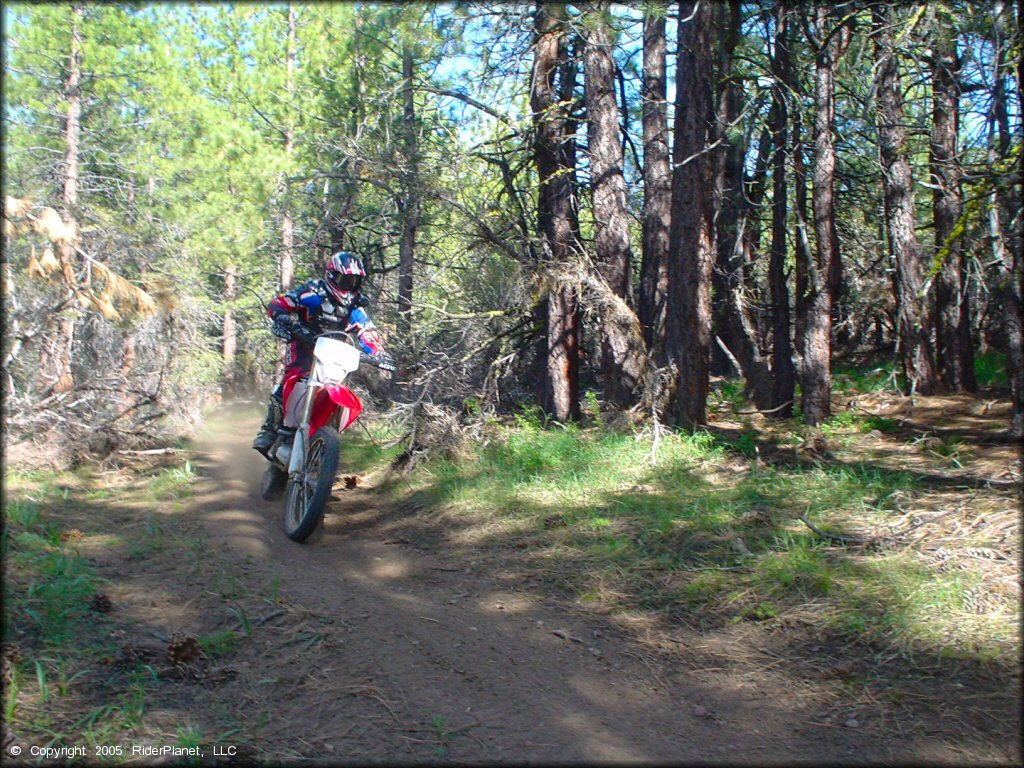 Honda CRF Motorcycle at Bull Ranch Creek Trail