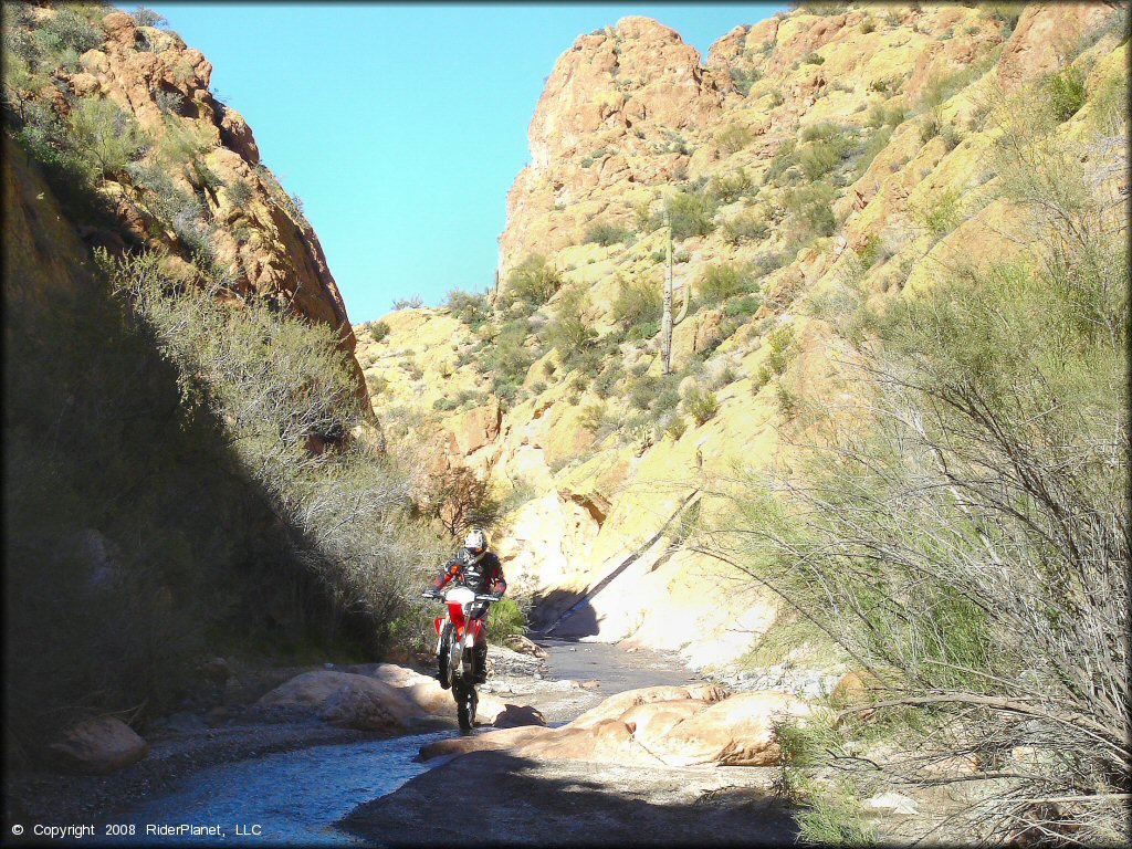 Man on Honda CRF250X dirt bike doing wheelie through shallow stream in box canyon.
