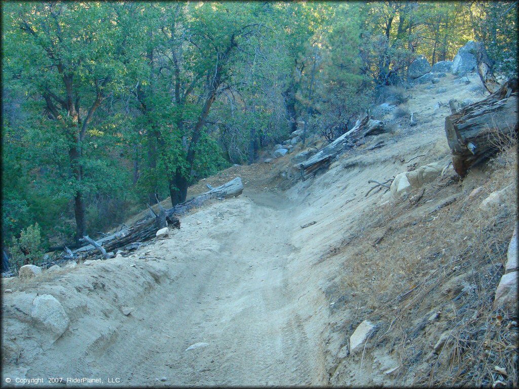 Example of terrain at Lake Arrowhead Trail