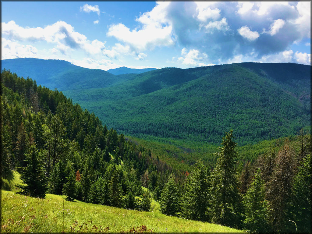 Twin Sisters and Mack King Trails