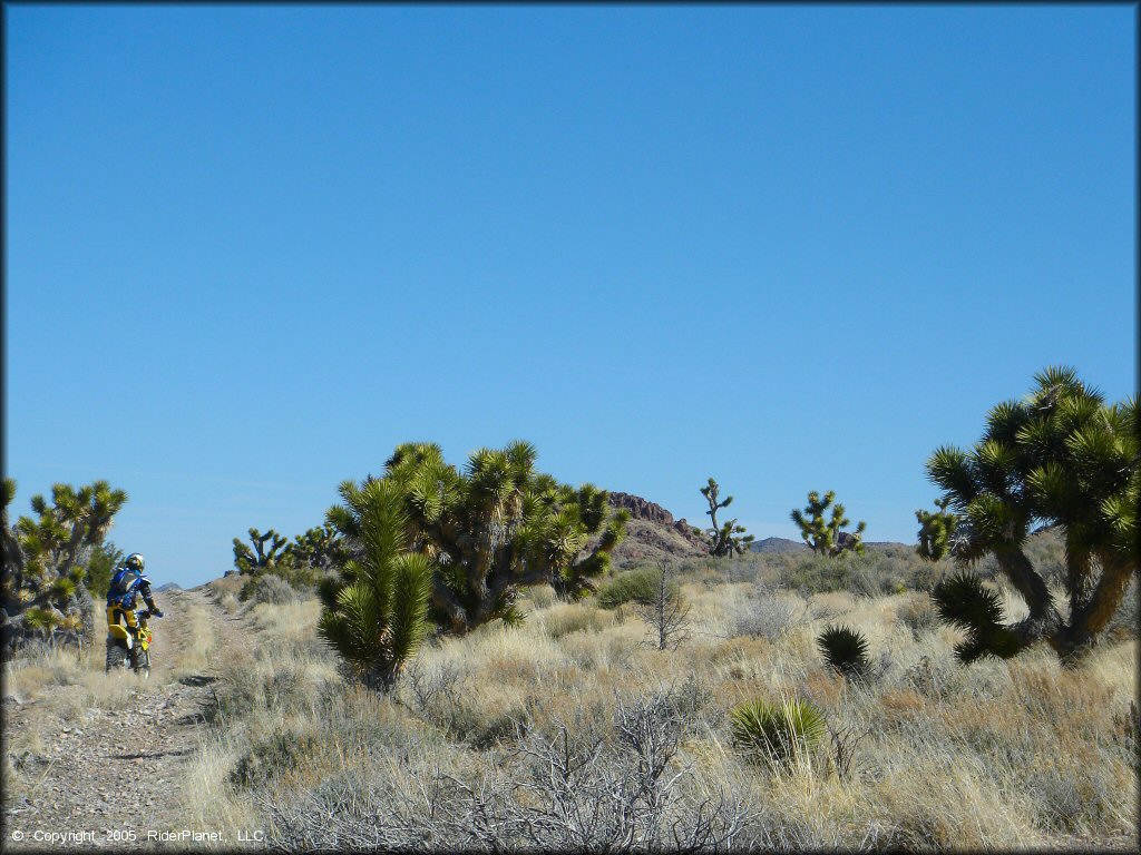 OHV at Chief Mountain OHV Area Trail