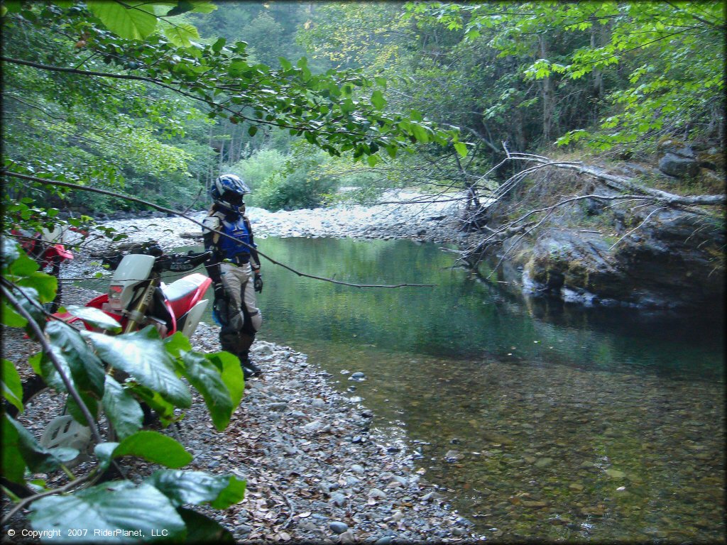 Honda CRF Motorbike at Lubbs Trail