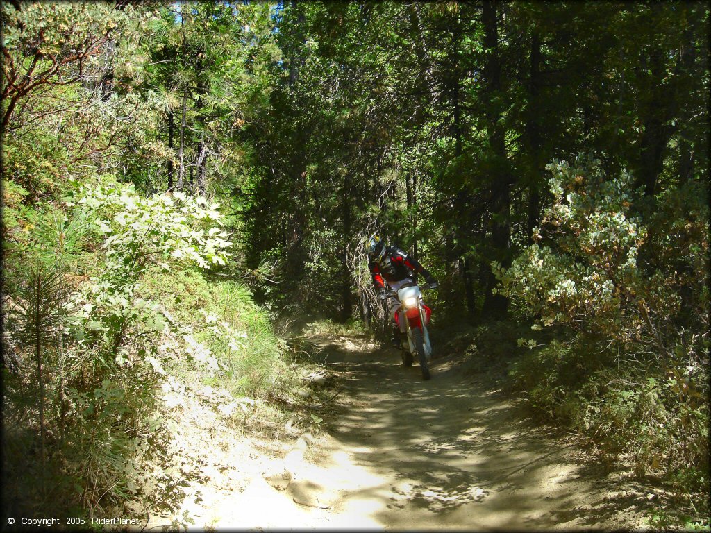 Honda CRF Dirtbike at Miami Creek OHV Area Trail
