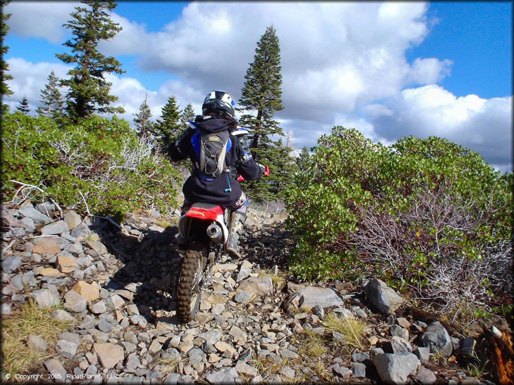 Honda CRF Motorbike at Prosser Hill OHV Area Trail