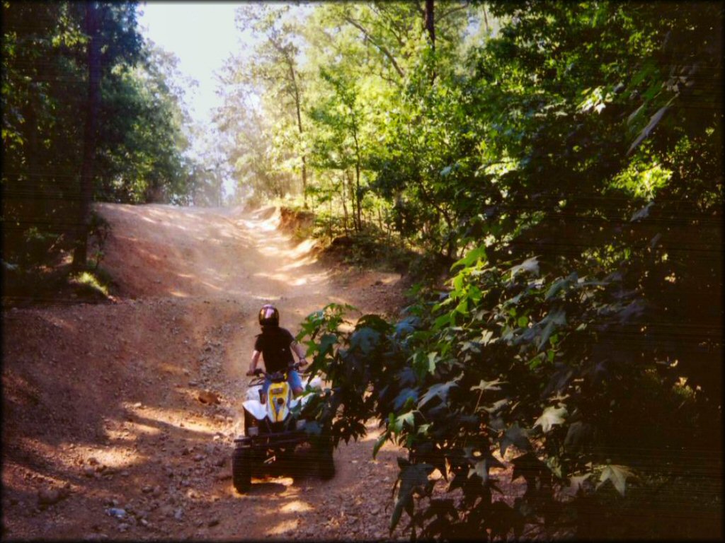 Turkey Bay OHV Area Trail