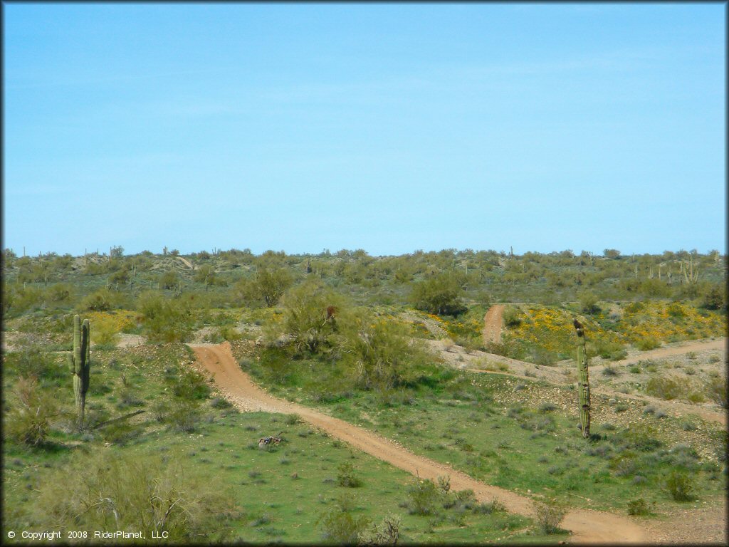 Example of terrain at Sun Valley Pit Trail