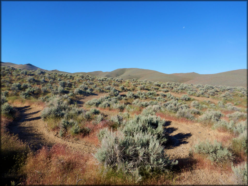 Shoshone OHV Trail System