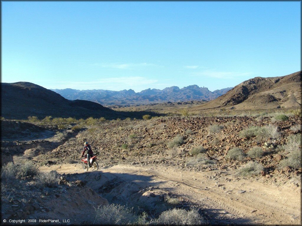 Honda CRF Dirtbike at Shea Pit and Osborne Wash Area Trail