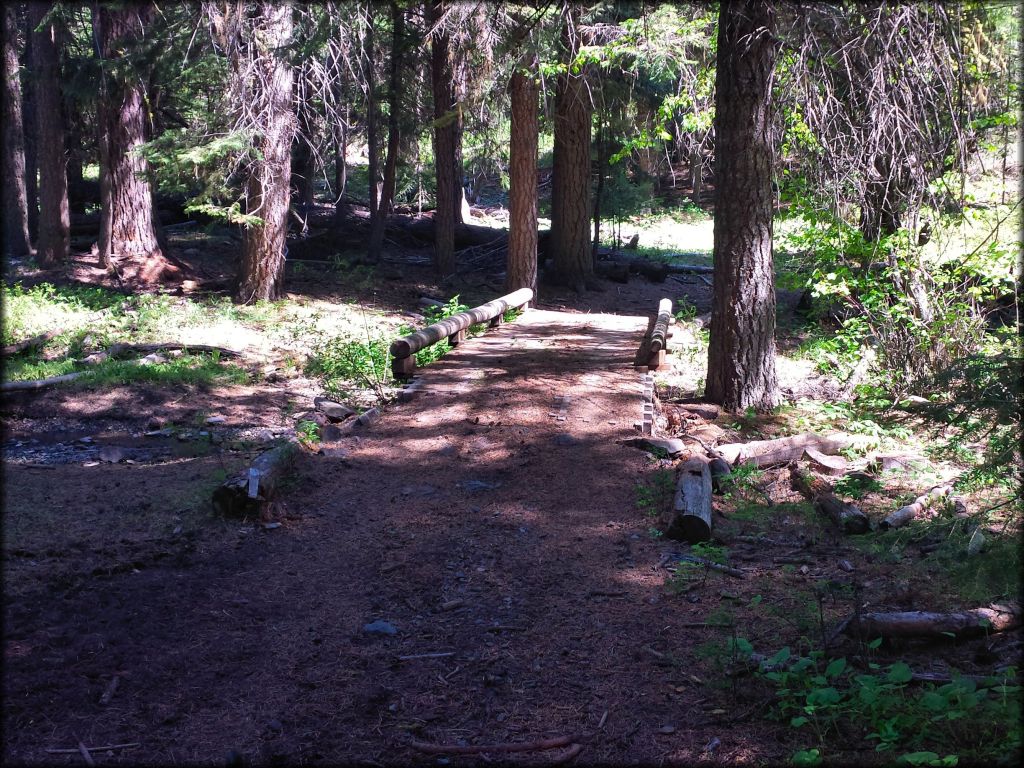 Blue Mountain OHV Trails