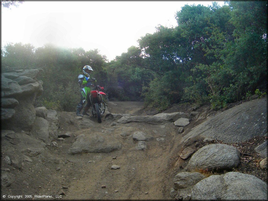 Woman wearing Fox motocross gear standing next to Honda CRF150F looking down short but rocky ATV trail.