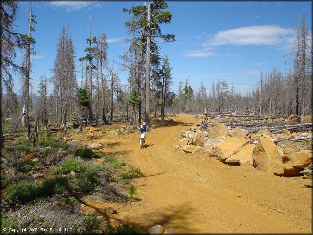 Mcgrew Trail