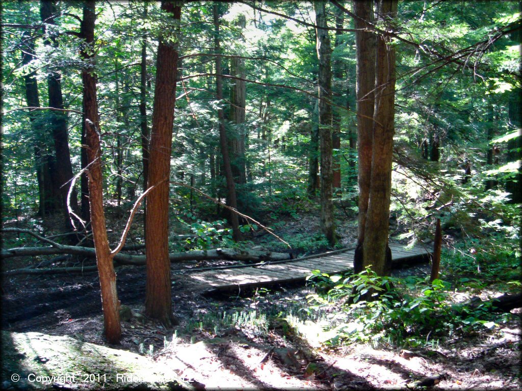 Example of terrain at Beartown State Forest Trail