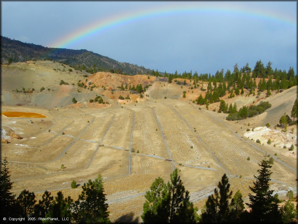 Scenery at Leviathan Recreation Area Trail