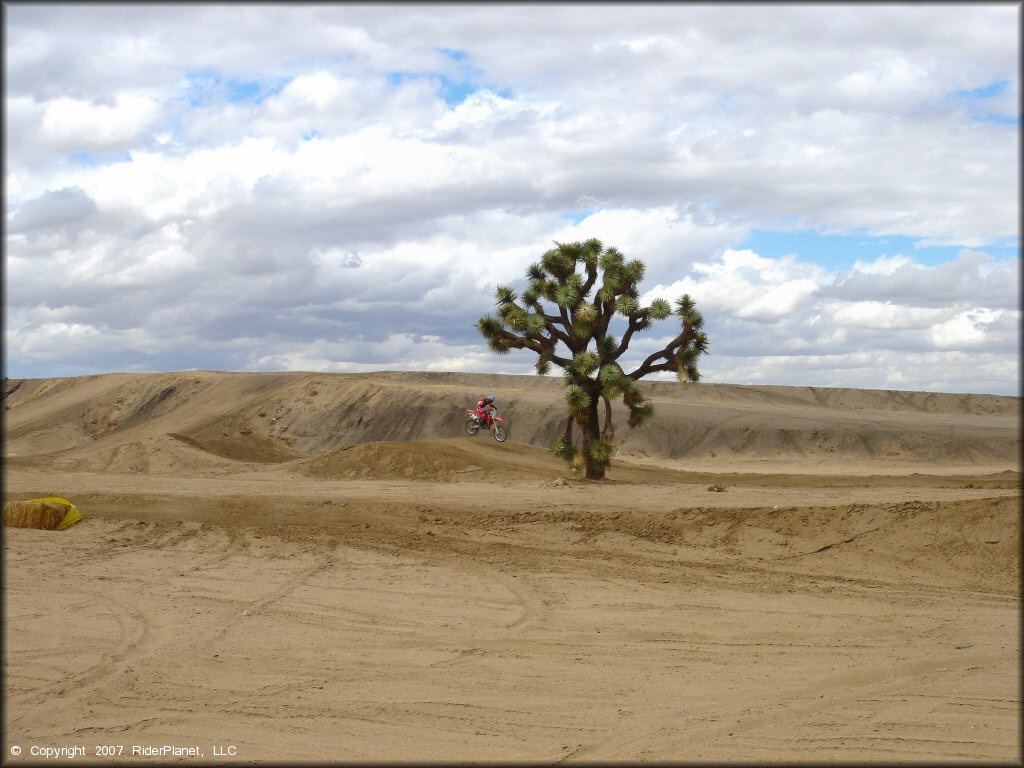 Honda CRF Trail Bike at Adelanto Motorplex Track