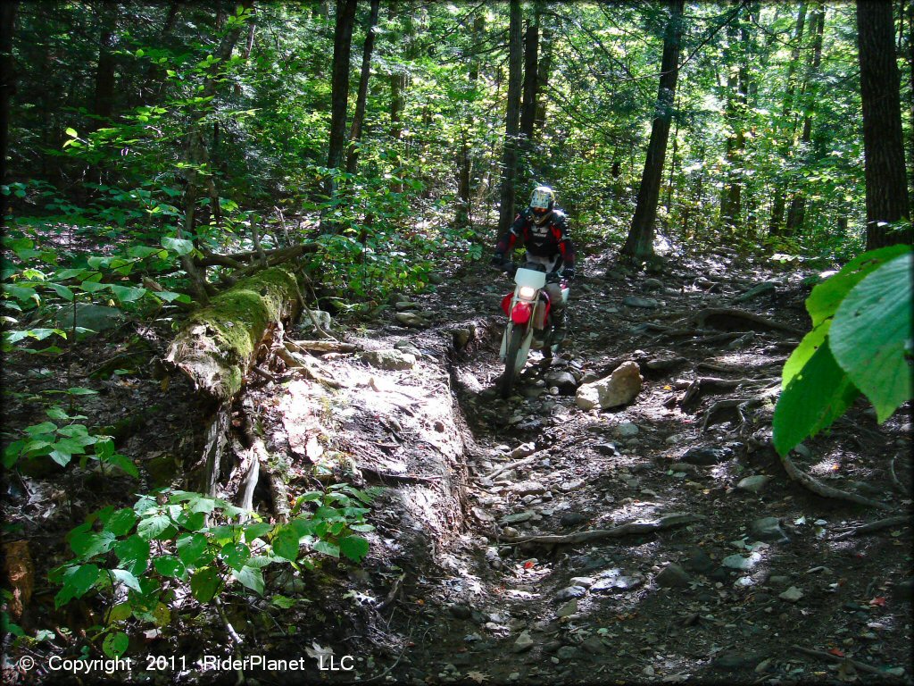 Honda CRF Motorbike at Beartown State Forest Trail