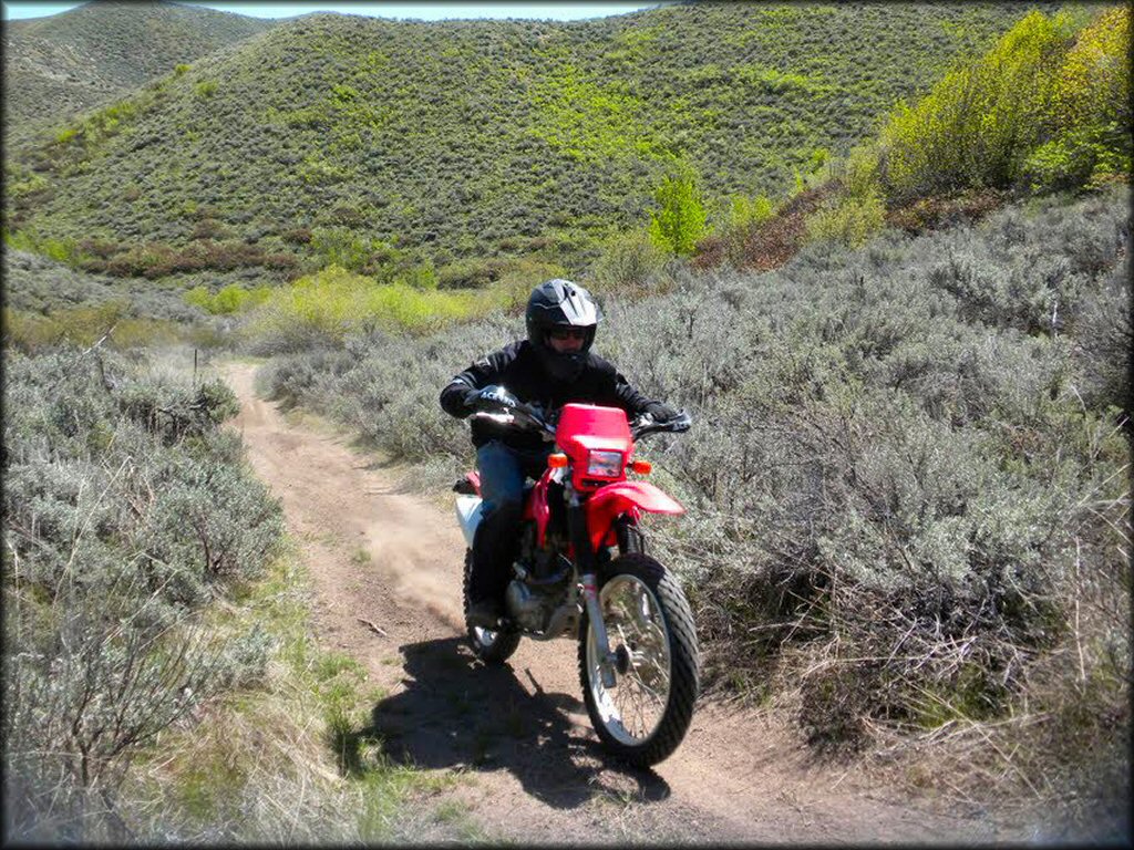 Young man on Honda CRF230F with Acerbis hand guards riding an ATV trail surrounded by sage and scrub brush.
