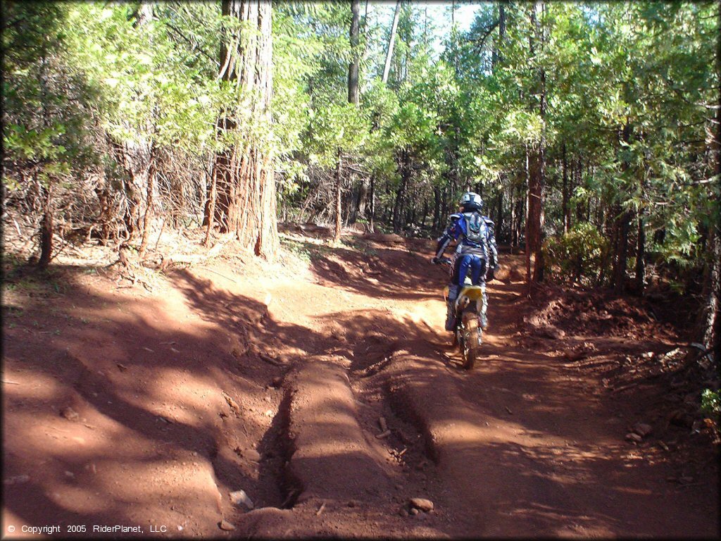 Woman on Suzuki RM100 avoiding deep ruts on the trail.