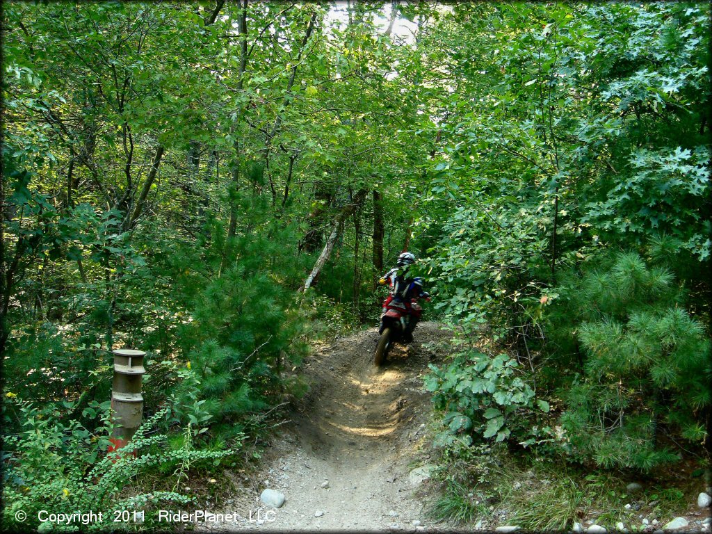 OHV at Freetown-Fall River State Forest Trail