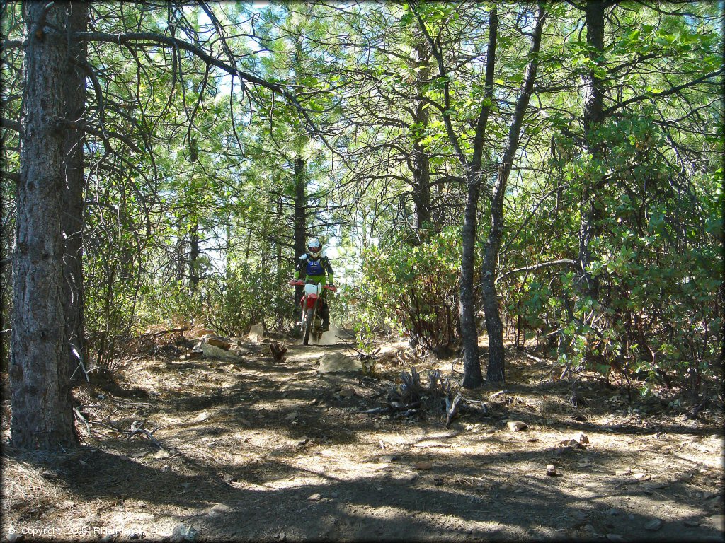 Honda CRF Motorcycle at Interface Recreation Trails