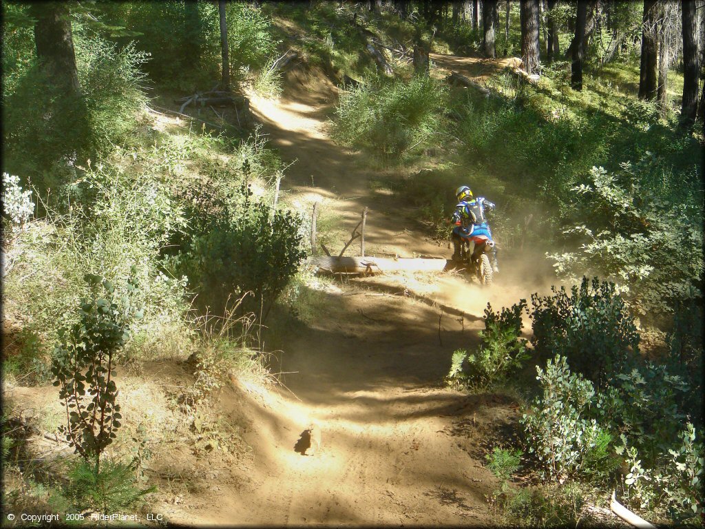 Honda CRF Dirt Bike at Miami Creek OHV Area Trail