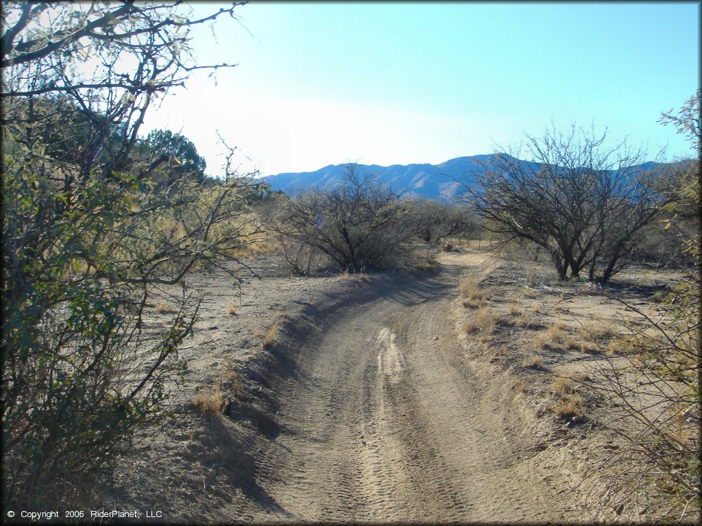 A trail at Hayfield Draw OHV Area Trail