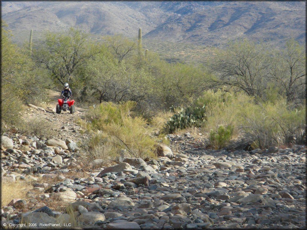 Honda TRX250 going through rocky trail.