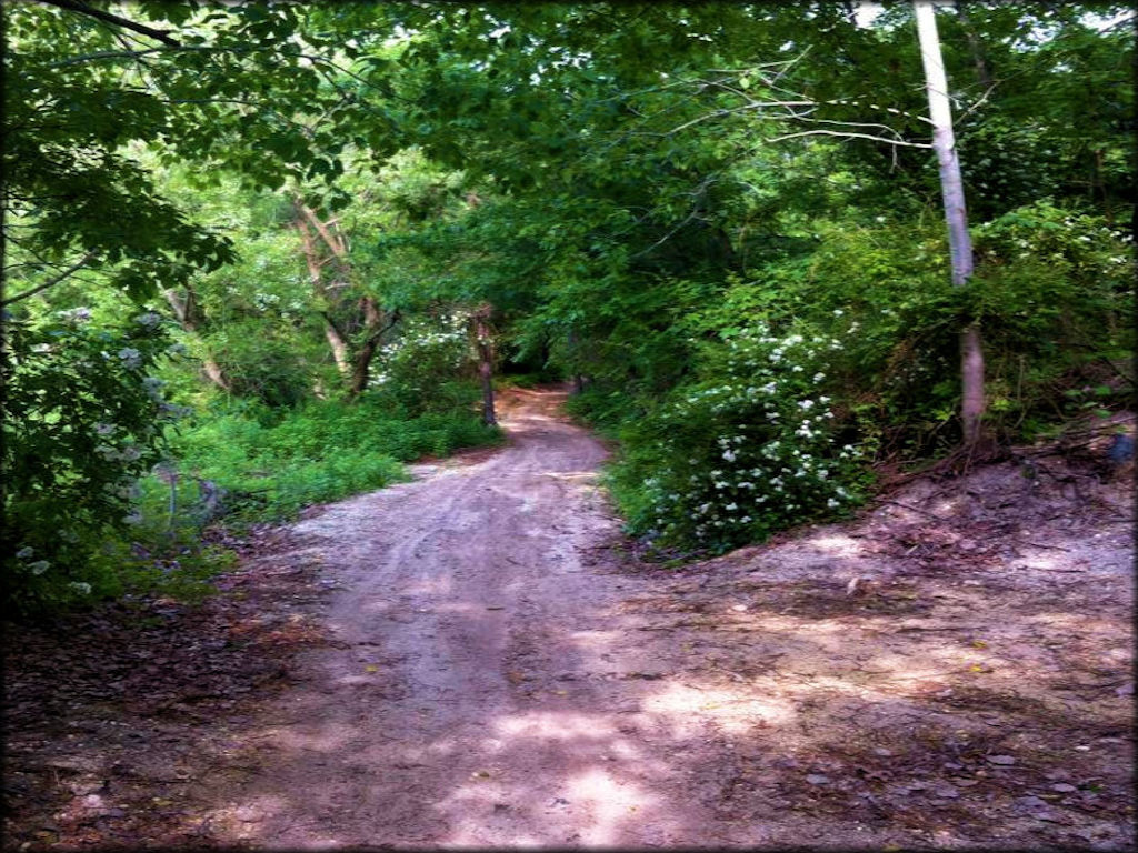 Ready To Ride, Off Road PALS OHV Area