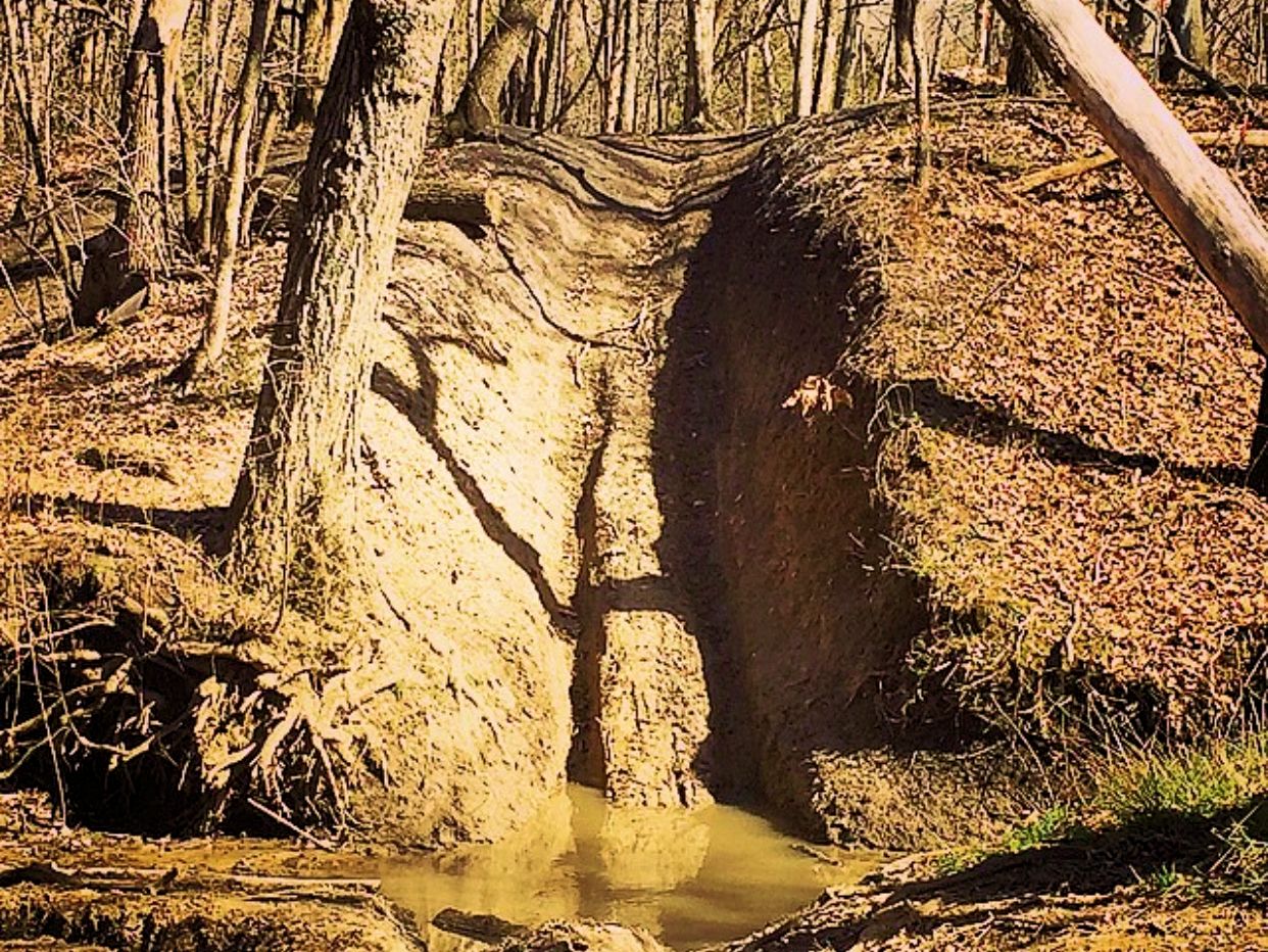 Steep but short hill climb with deep mud puddle at the base.