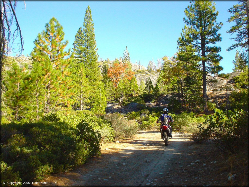 Honda CRF Dirt Bike at Indian Springs Trail