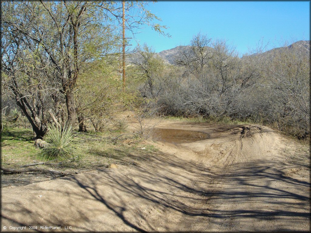 A trail at Charouleau Gap Trail