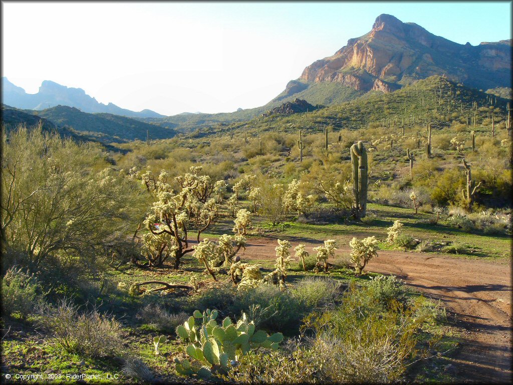 Scenic view of Bulldog Canyon OHV Area Trail