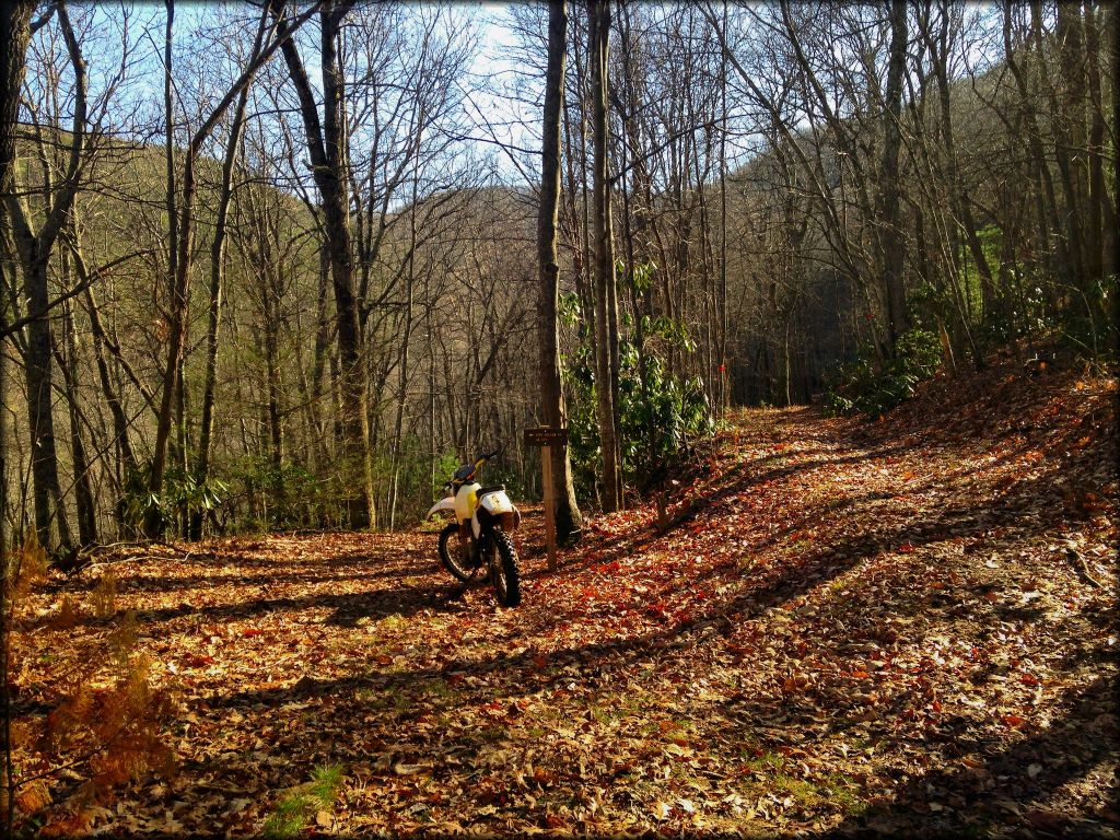 Virginia Highlands Horse Trail