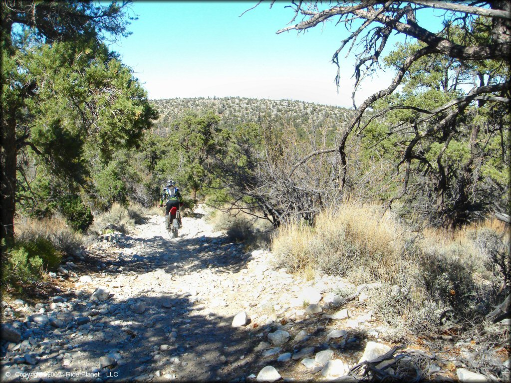 Rear view of Honda four stroke dirt bike going through rocky section of trail.