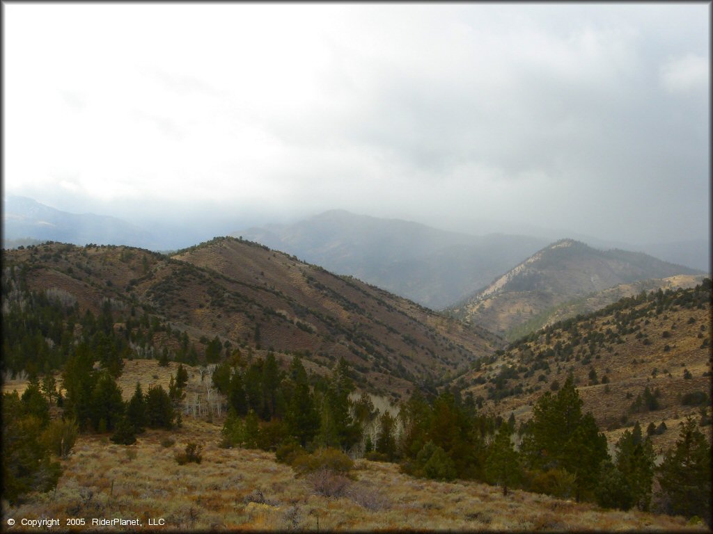 Scenic view of Leviathan Recreation Area Trail