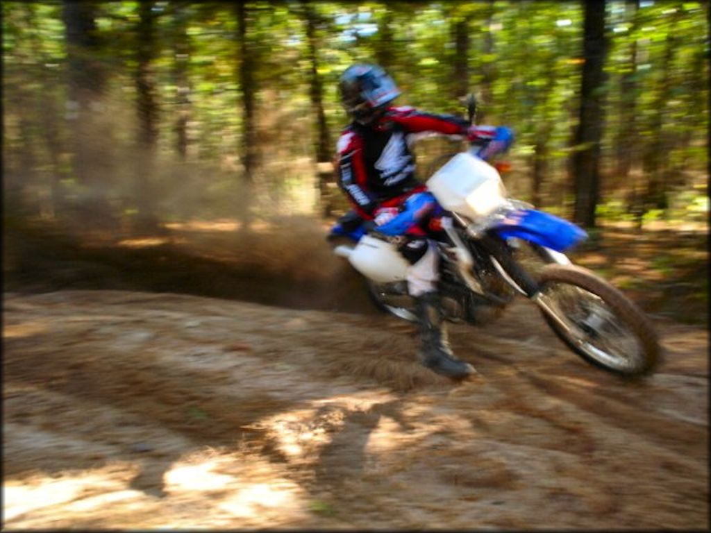 Yamaha WR trail bike and rider on the trail.