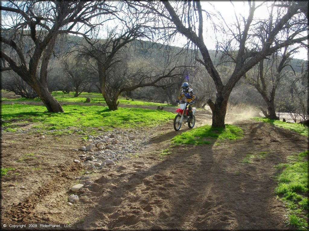 Honda CRF Motorcycle at Black Hills Box Canyon Trail