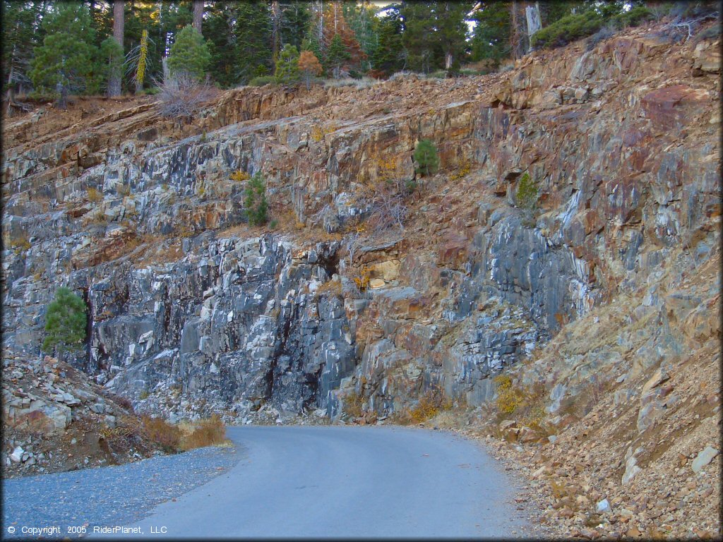 Scenery at Jackson Meadows Trail