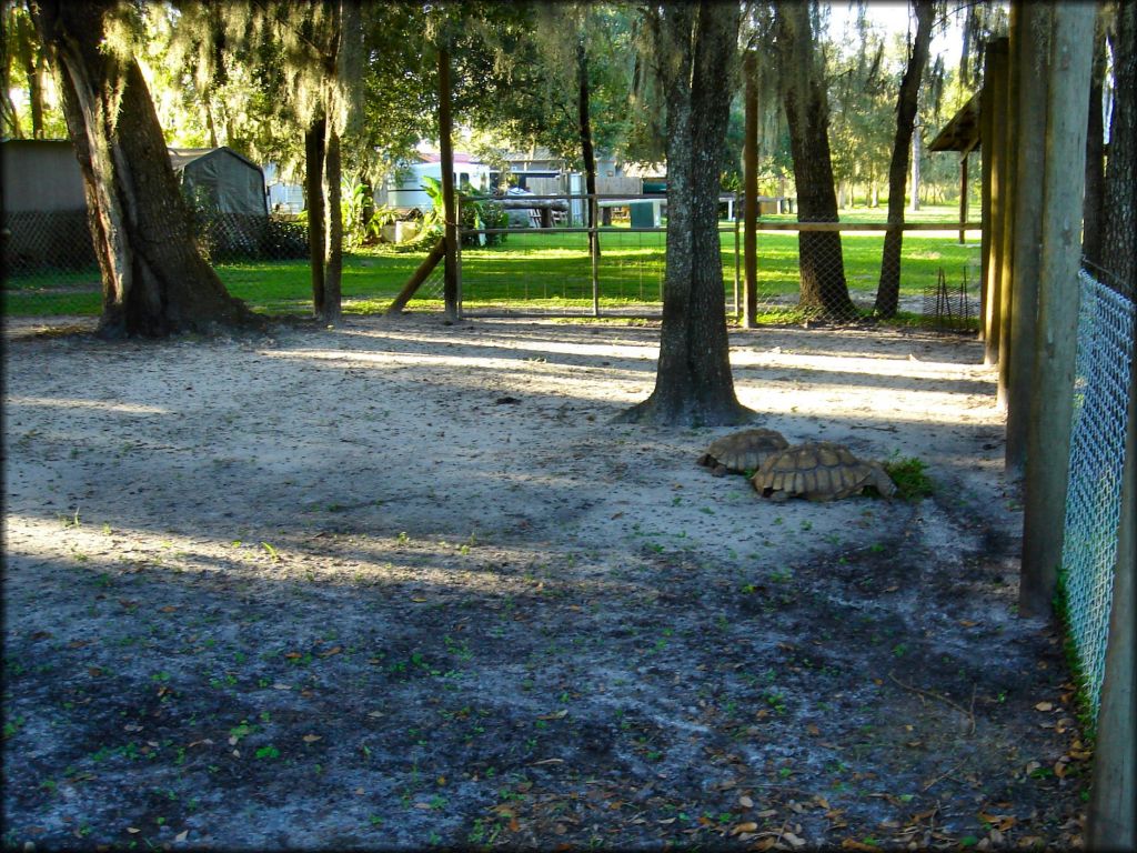 Peace River Campground Trail