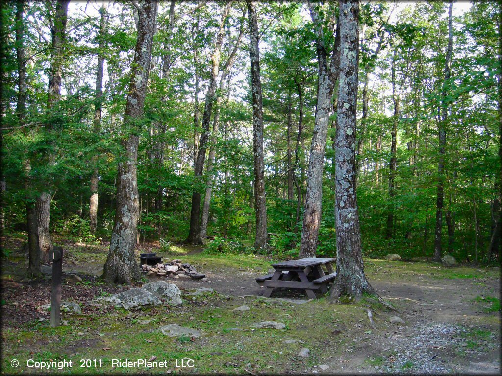 Amenities example at Beartown State Forest Trail