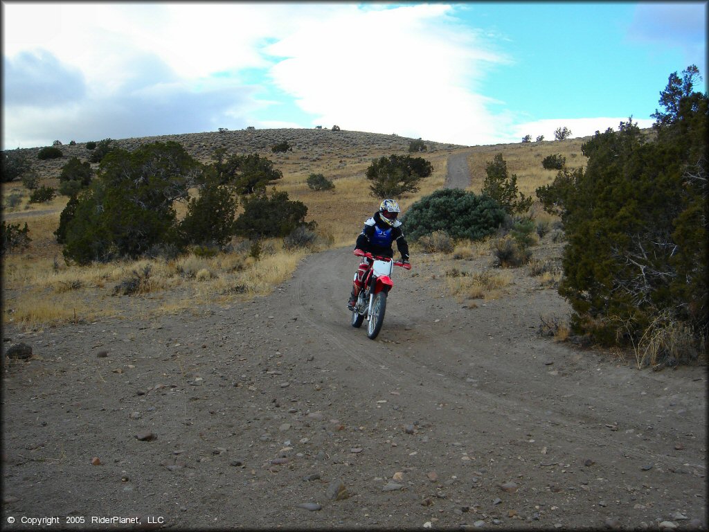 Honda CRF Dirtbike at Mount Seigel OHV Trails